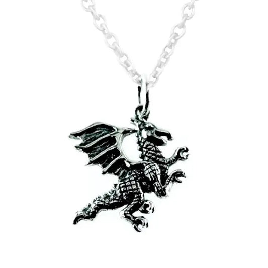 Sterling Silver Dragon Pendant & Chain