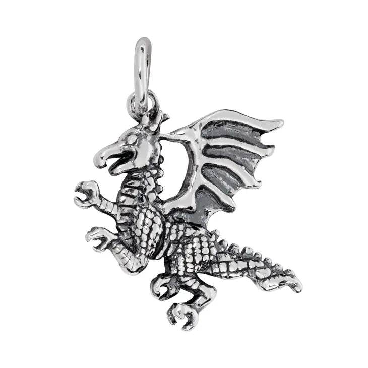 Sterling Silver Dragon Pendant & Chain