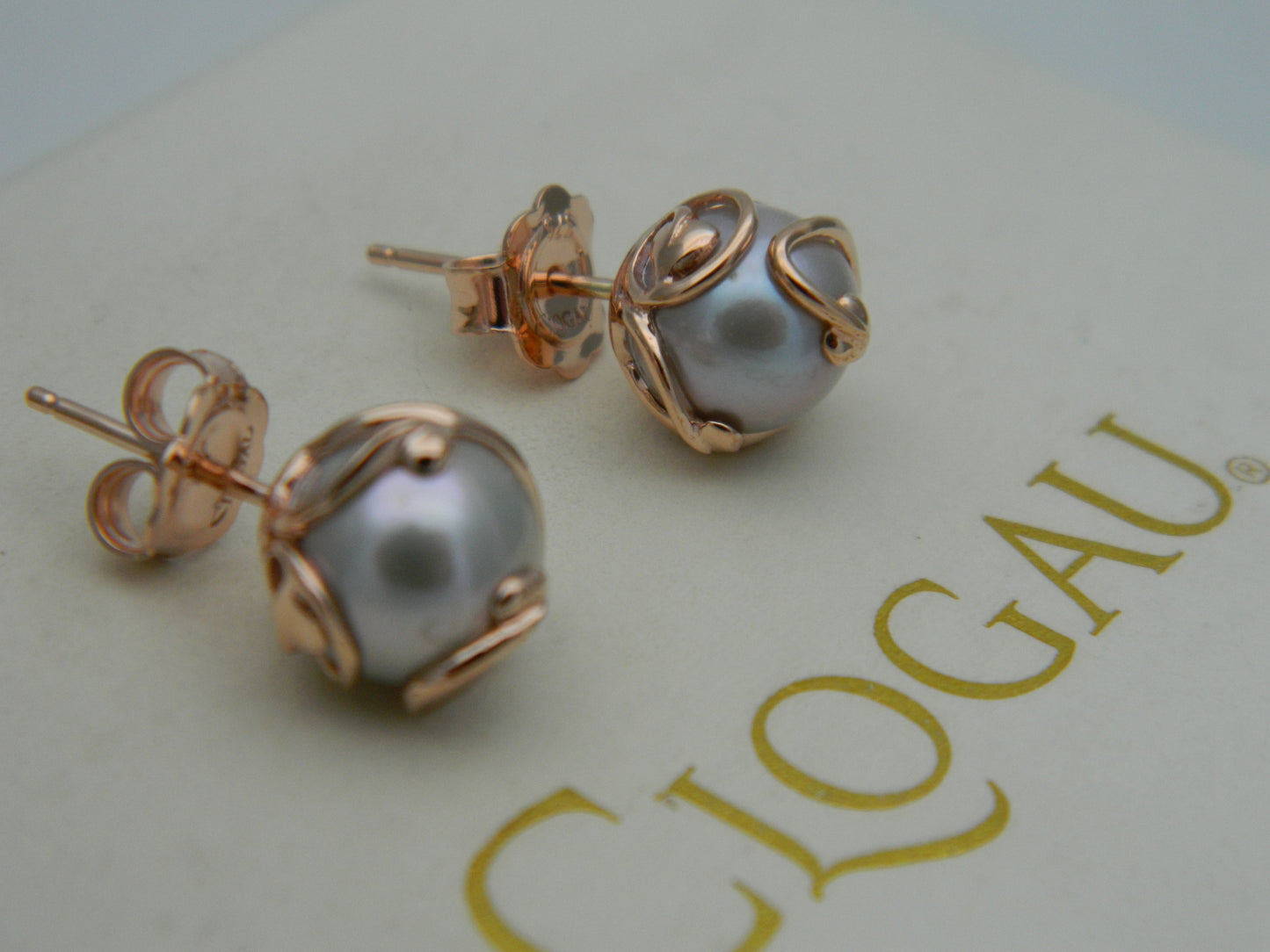 Clogau 9ct Rose Gold Tree of Life Pearl Stud Earrings