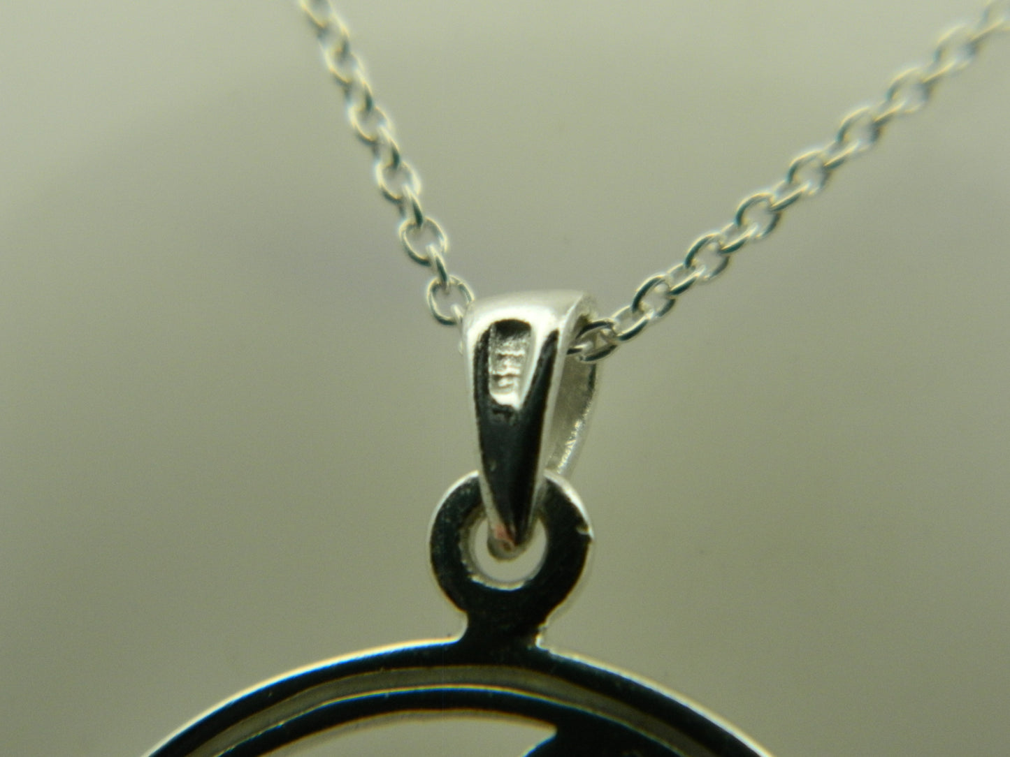 Sterling Silver Howling Wolf Moonstone Pendant & Chain